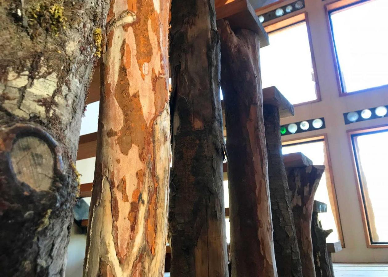 La Colmena Eco Lodge 拉恩塞纳达 外观 照片