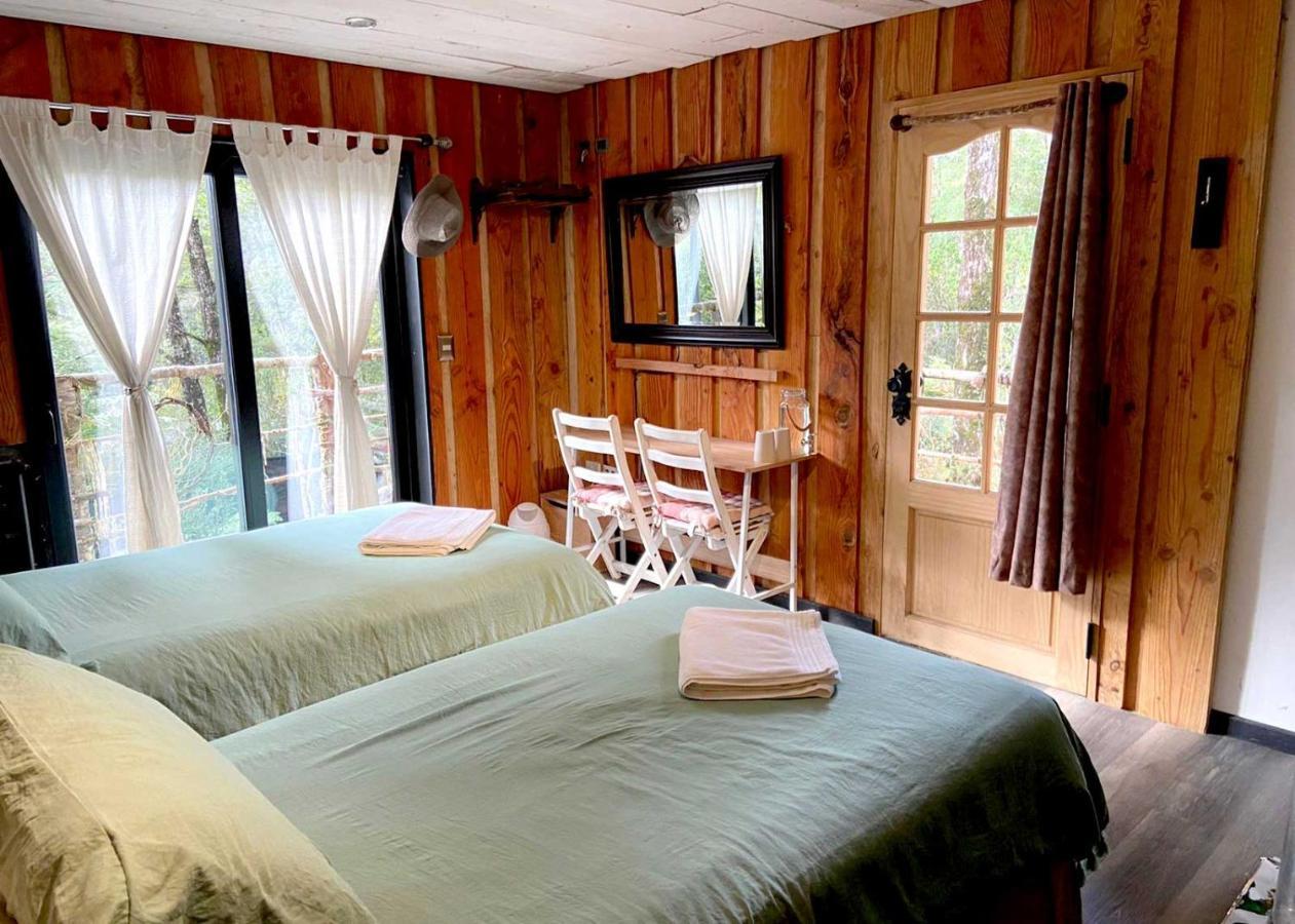 La Colmena Eco Lodge 拉恩塞纳达 外观 照片