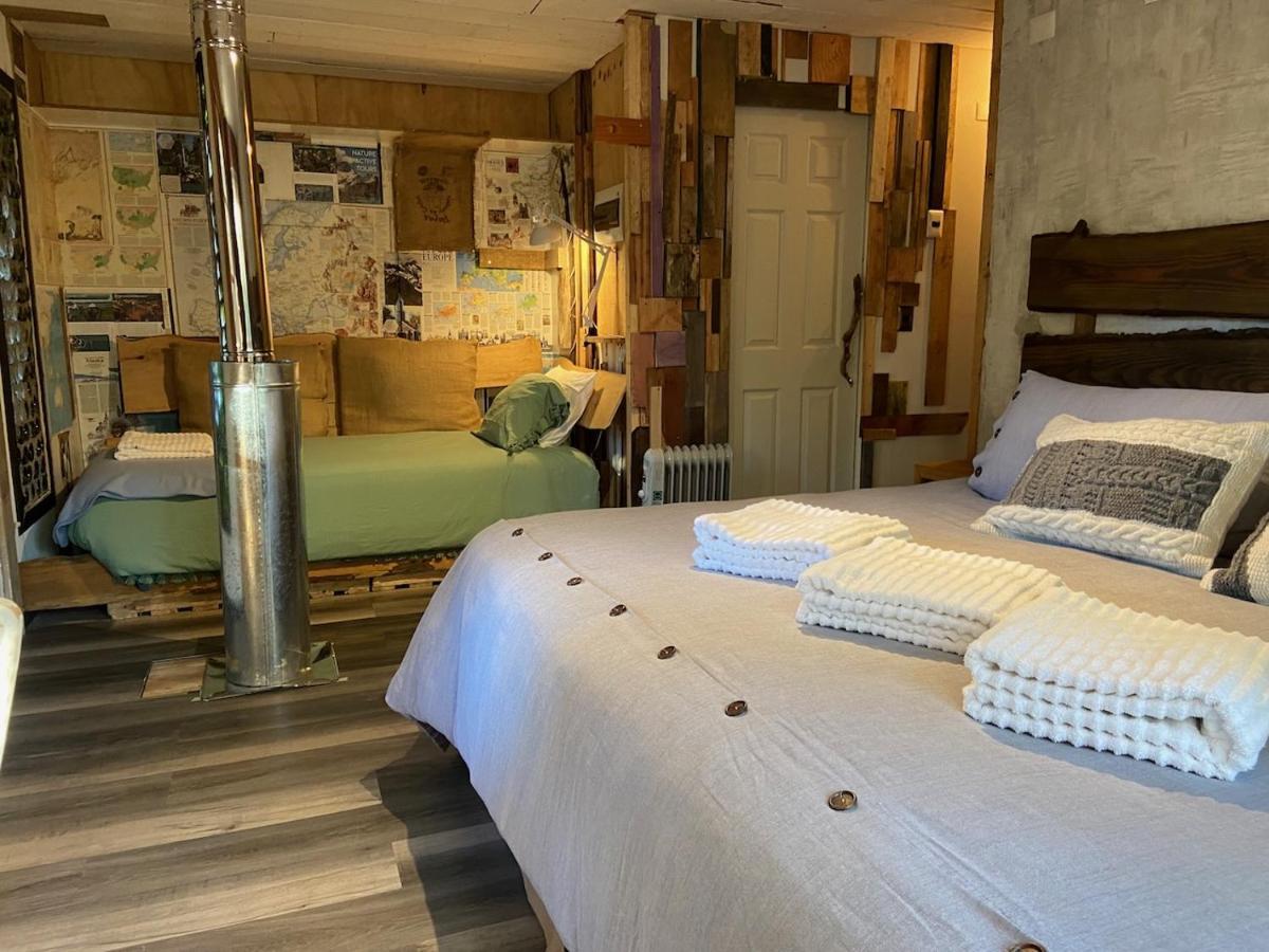 La Colmena Eco Lodge 拉恩塞纳达 外观 照片