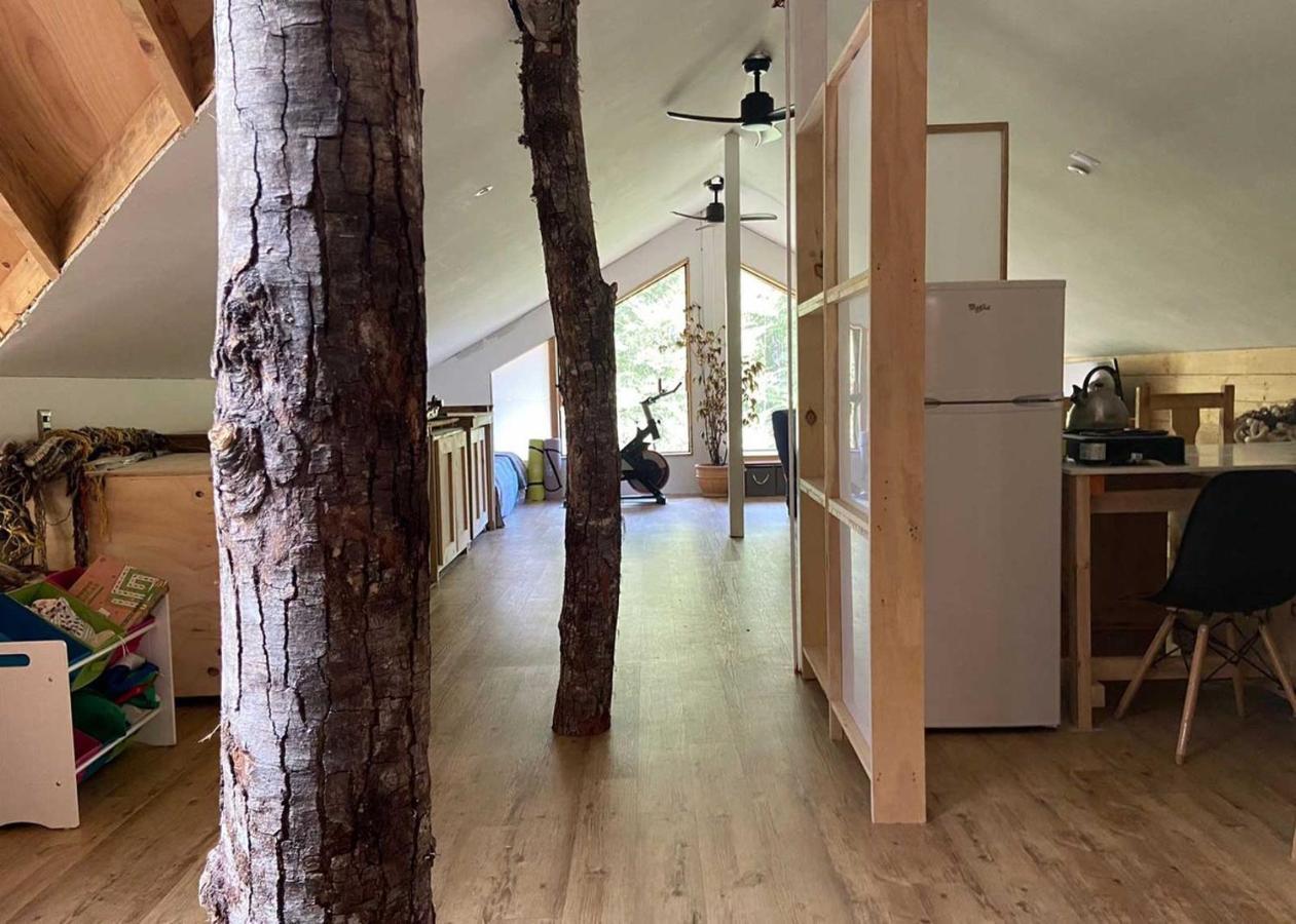 La Colmena Eco Lodge 拉恩塞纳达 外观 照片