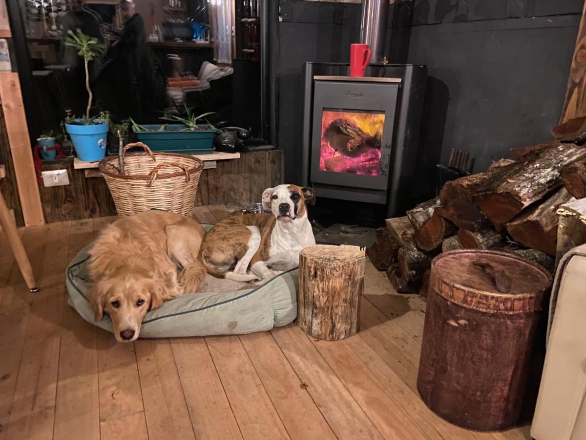 La Colmena Eco Lodge 拉恩塞纳达 外观 照片
